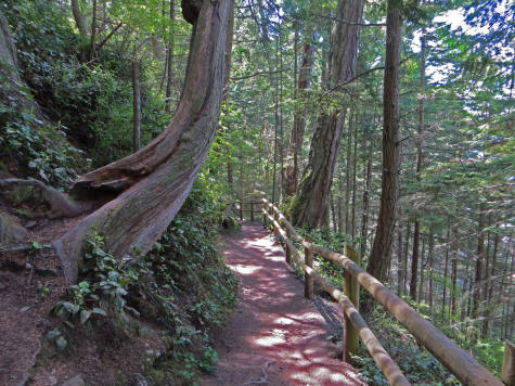 Hiking Trail on Whidbey Island in Washington State