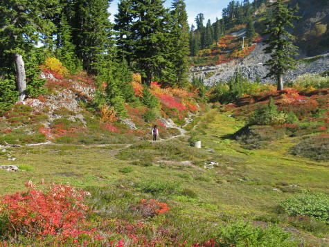 Hiking Trails at Mount Baker in Washington State